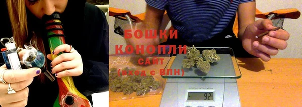 эйфоретик Гусев