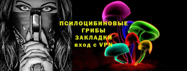 молекула духа Гусиноозёрск