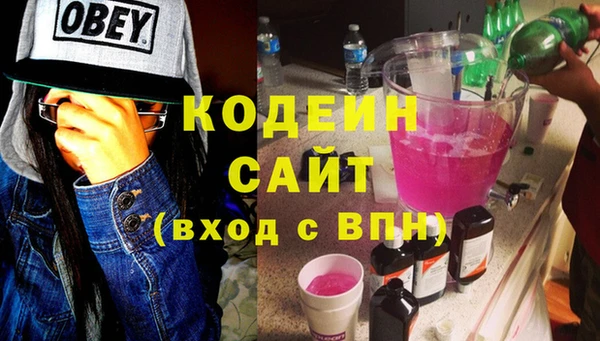 молекула духа Гусиноозёрск