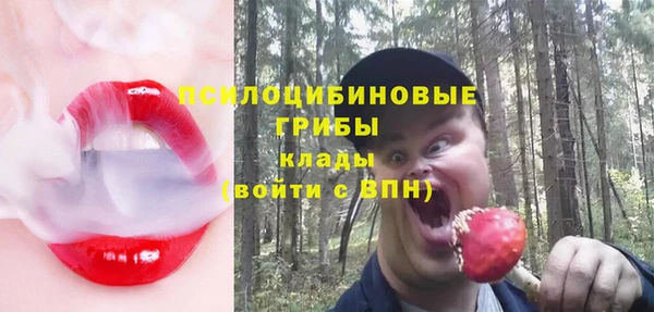 молекула духа Гусиноозёрск