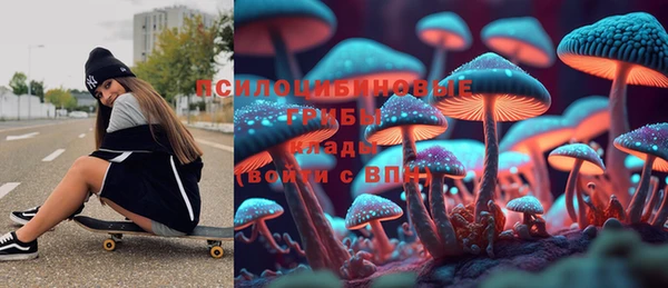 молекула духа Гусиноозёрск