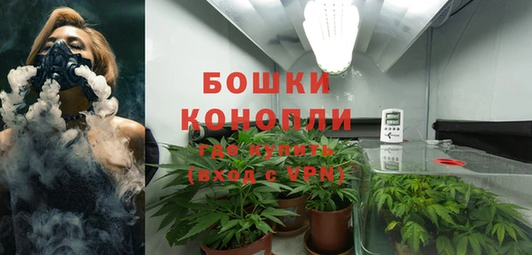 эйфоретик Гусев