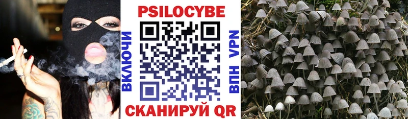 Галлюциногенные грибы Magic Shrooms Мценск