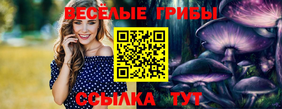Мценск  Галлюциногенные грибы мицелий  Вход с VPN 